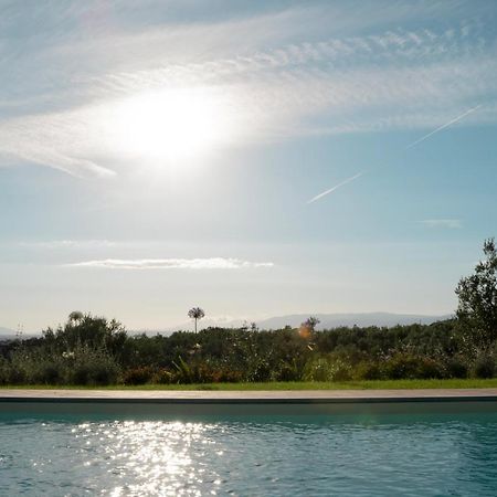 Glamping Suite Il Grillo ลัมปอเรคคิโอ ภายนอก รูปภาพ