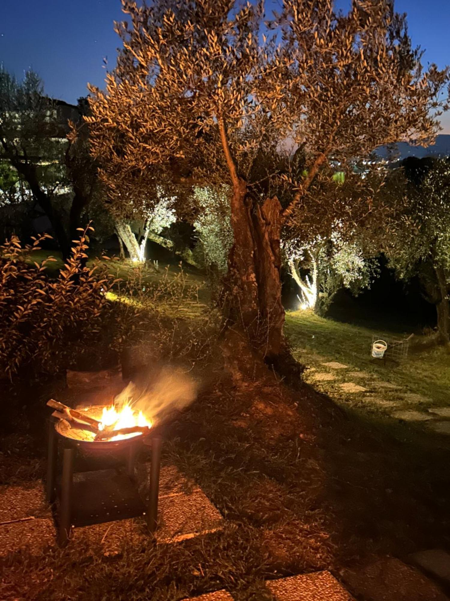 Glamping Suite Il Grillo ลัมปอเรคคิโอ ภายนอก รูปภาพ